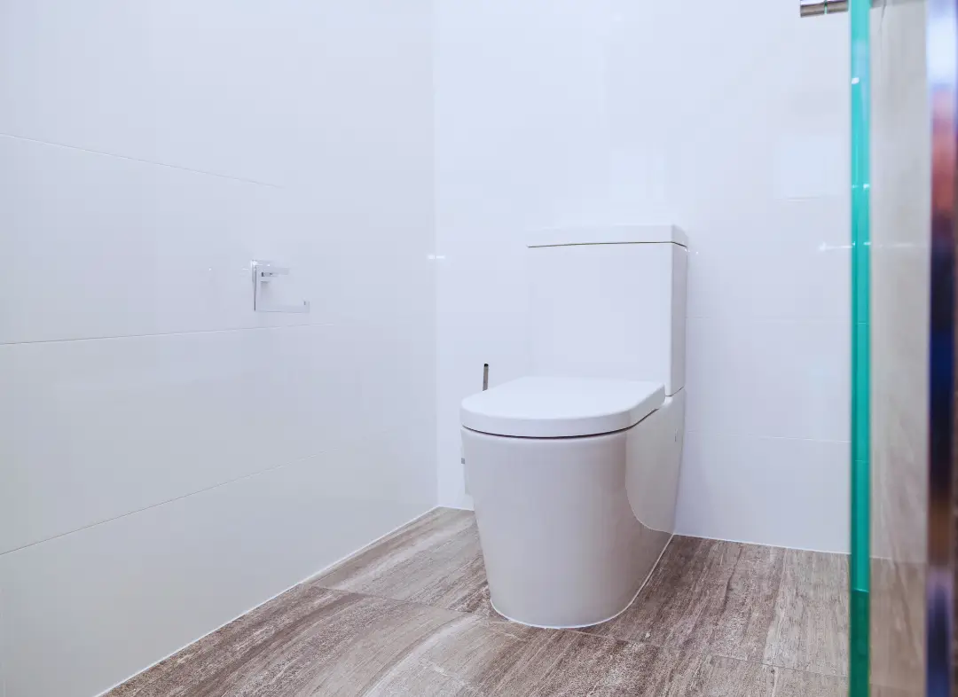 Remplacement de wc Terville