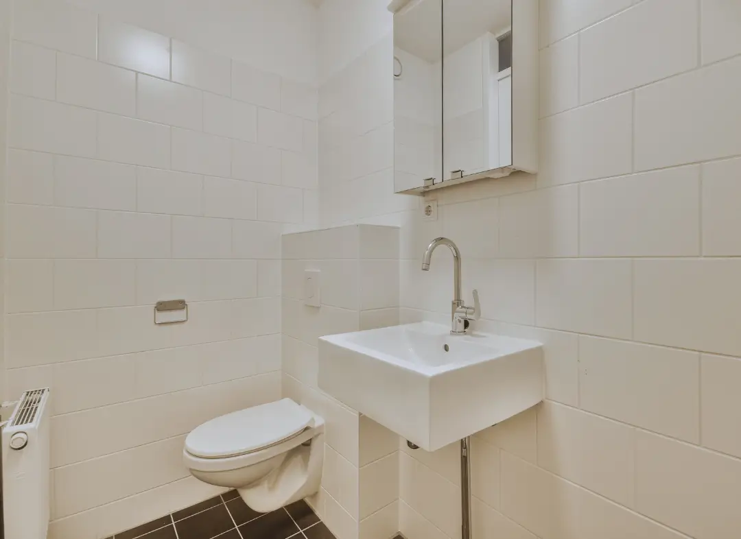 Pose WC Suspendu Terville